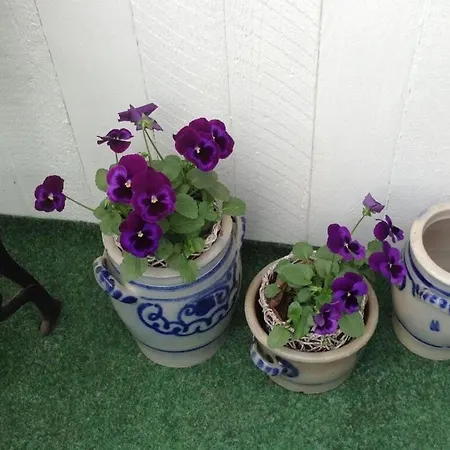 Dom wakacyjny Glasner Comfortable *