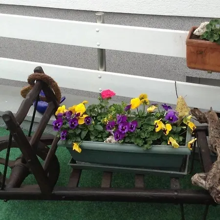 Glasner Comfortable Holiday home *