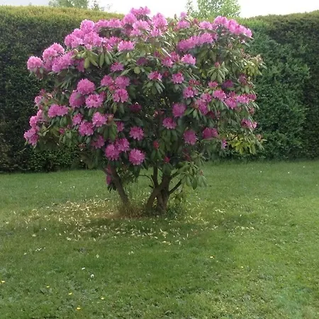 Holiday home Glasner Comfortable *