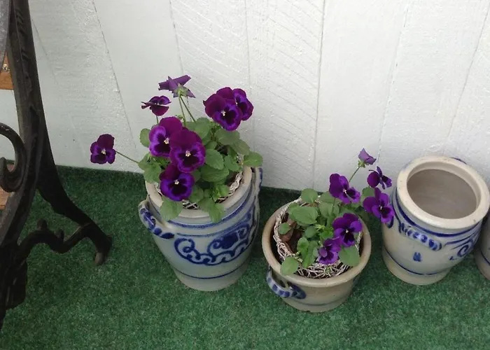 Ferienhaus Glasner Comfortable *